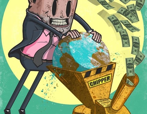 steve cutts