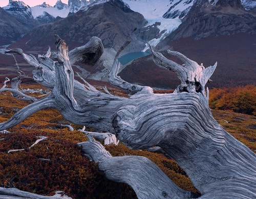 Galería de fotografía de Greg Boratyn - Argentina