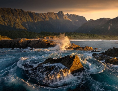 Galeria de fotografias de William Patino - Nova Zelândia