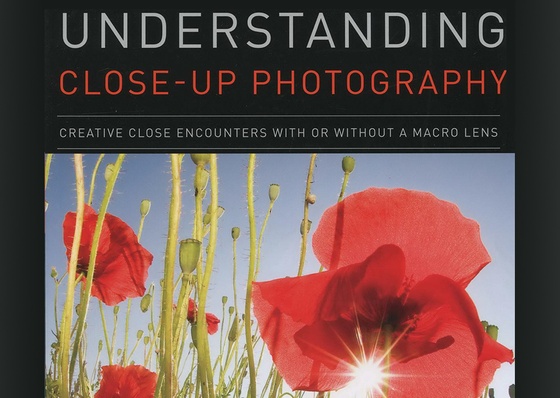 Understanding Close Up Photography