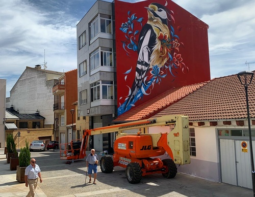 Gallery Of Street Art By Fio Silva - Argentina