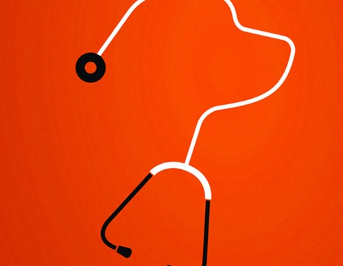 brandon schaefer film posters