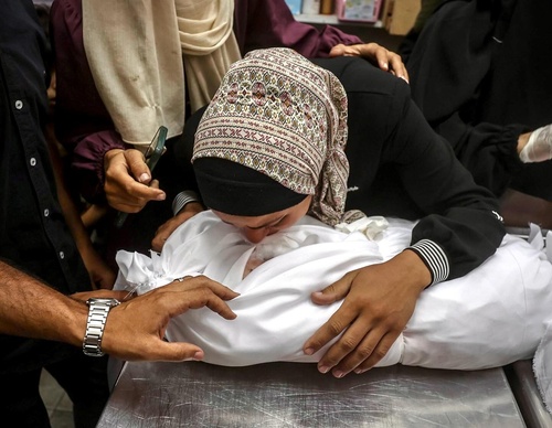 ali jadallah gaza