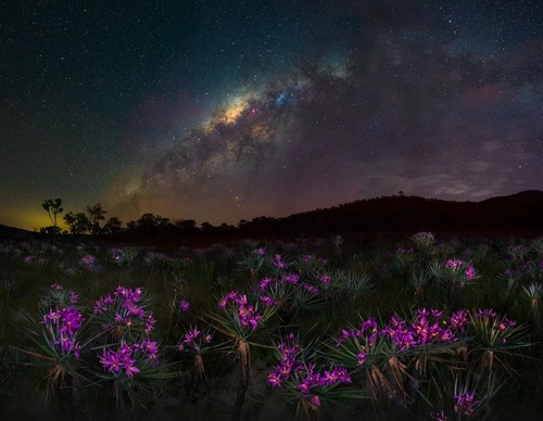 Galería de fotografía de Marcio Cabral - Brasil