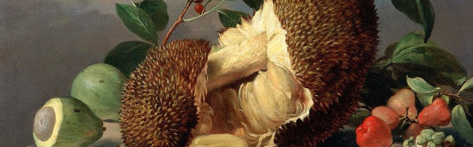 Galeria de Pintura de Agostinho José da Mota - Brasil