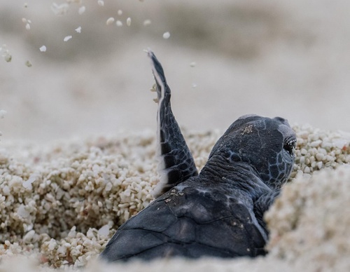 Gallery Of Photography By Alex Kydd - Australia