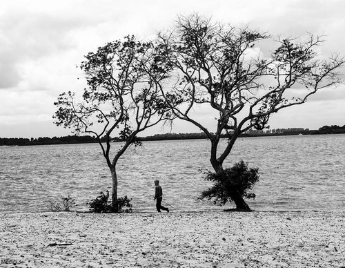 Gallery Of Photography By Luis Médici - Argentina