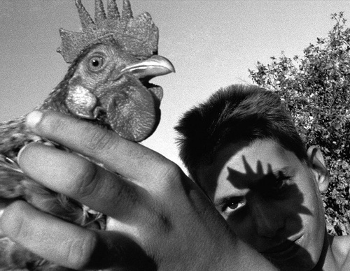 raul canibano
