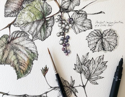 Gallery of Drawing by GiacoMina Ferrillo-Italy