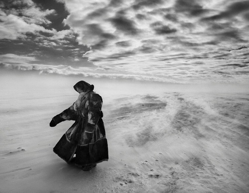 Galeria de Fotografia de Sebastião Salgado-Brasil