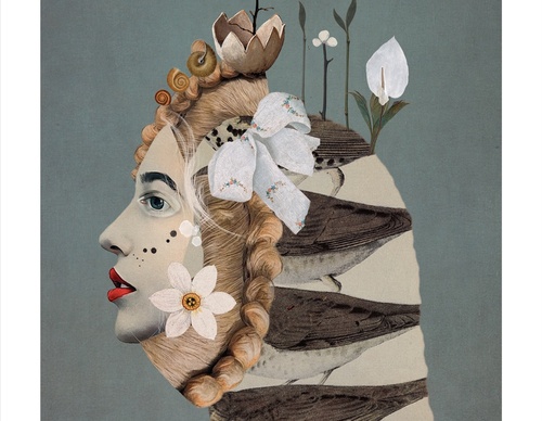 Galeria de ilustrações de Sarah Jarrett - Jamaica