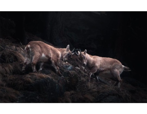 Gallery Of Photography By Elias Kalliola - USA