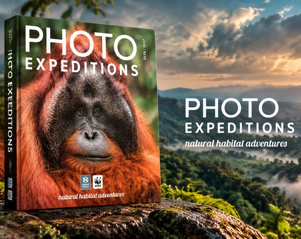 PHOTO EXPEDITIONS