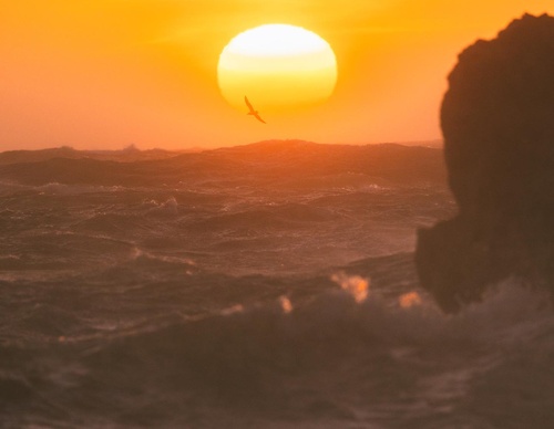 Galeria de fotografias de Nathaniel Wise - EUA