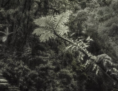 Gallery Of Photography By Cassio Vasconcellos - Brazil