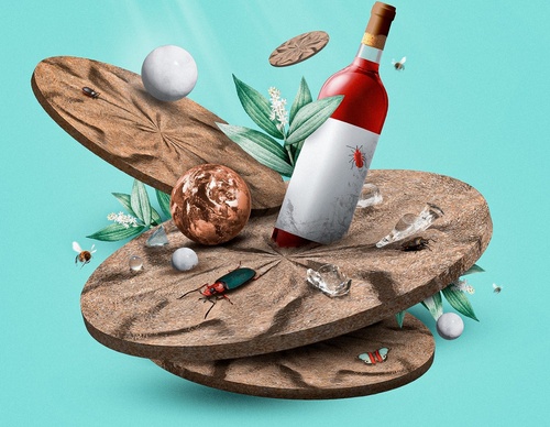 Gallery Of Illustration By Fnobre - Brazil