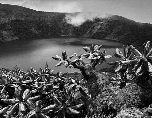 Galeria de Fotografia de Sebastião Salgado-Brasil
