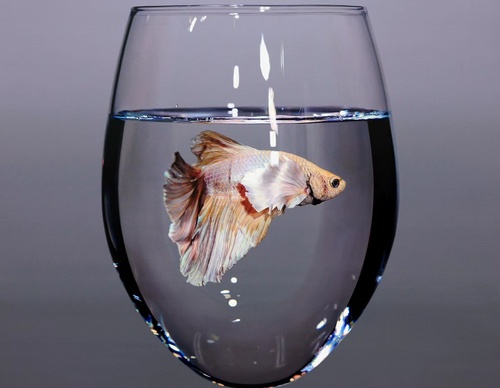 Gallery Of Realistic Painting By Young-sung Kim - South Korea