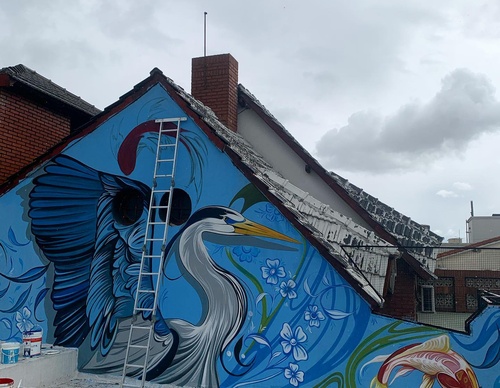 Gallery Of Street Art By Fio Silva - Argentina