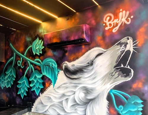 Gallery Of Street Art By Berejuk - Brazil
