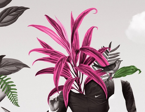 guillermo flores pacheco