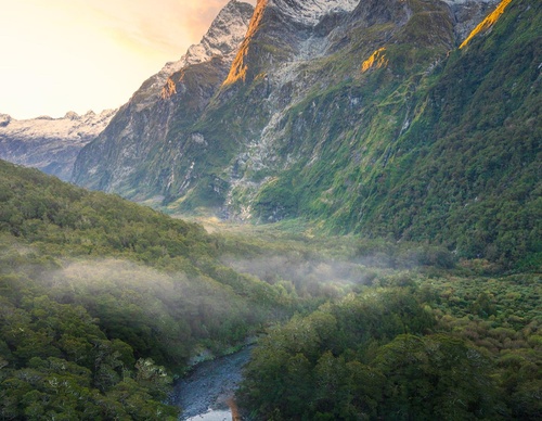 Galeria de fotografias de William Patino - Nova Zelândia