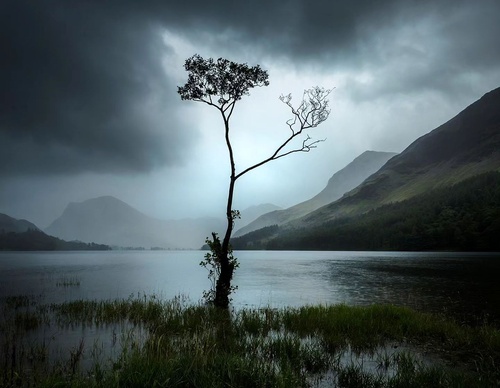 Gallery Of Photography By Mads Peter - Danish