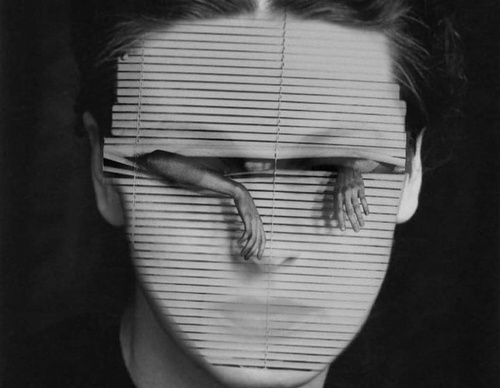 robin isely