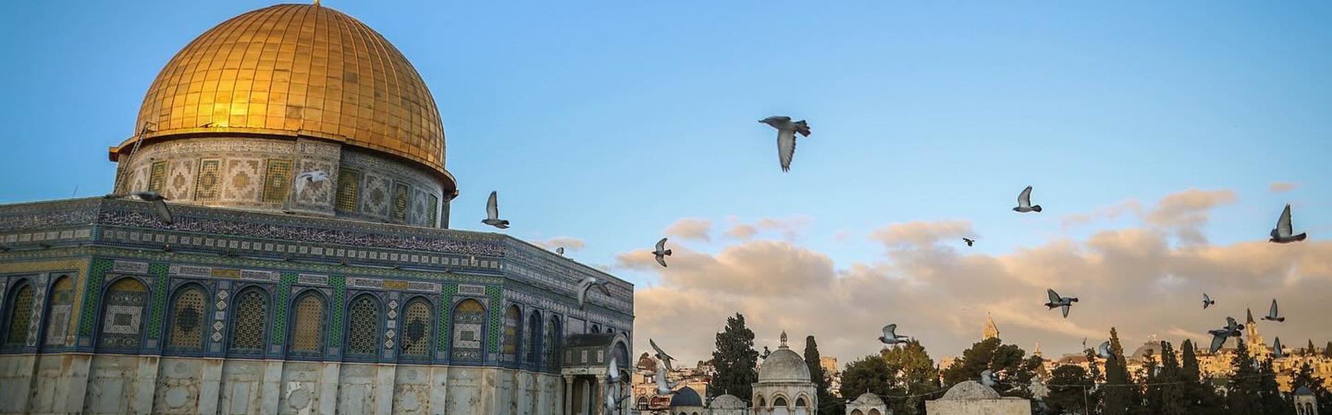 Gallery of photography by Ameer abed rabbo -Palestine