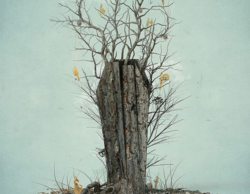 Gallery Of Illustration by Jeroen Murré - Netherlands