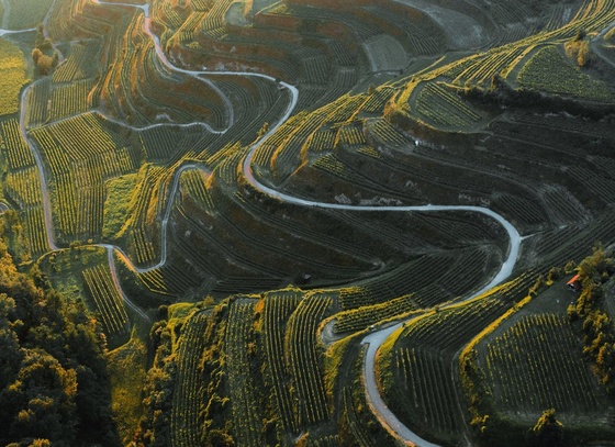 Long-Nong Huang