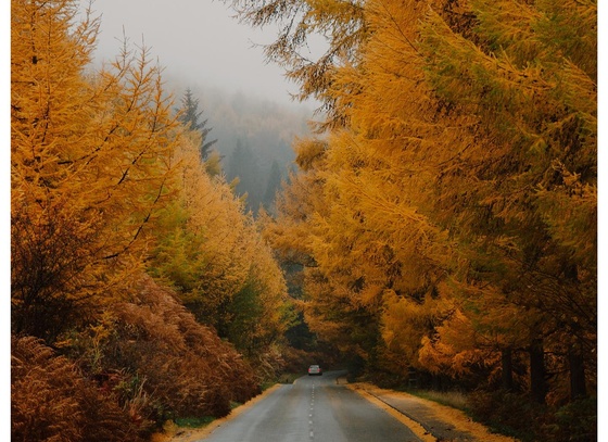 Daniel Casson
