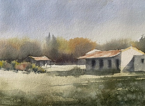 jorge swinnen