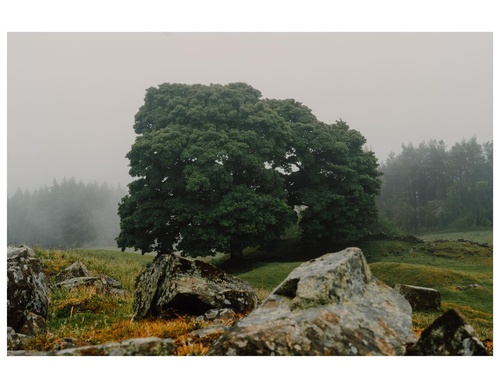 Gallery Of Photography By Daniel Casson - England