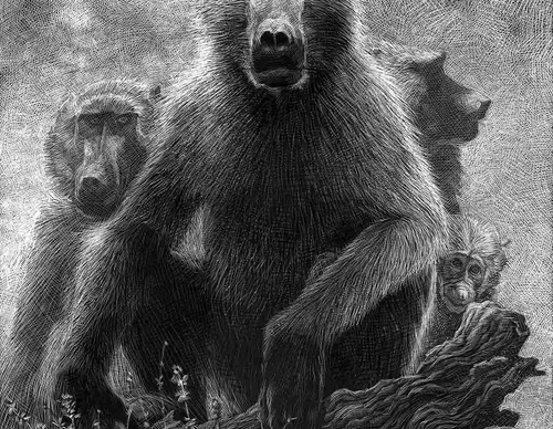 Gallery of Illustration by Ricardo Martinez-Chile
