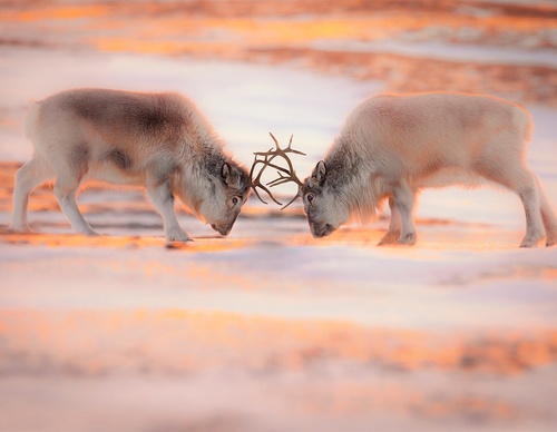 Gallery Of Photography By Marco Gaiotti - Brazil