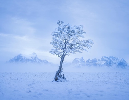 Gallery Of Photography By Rodrigo Viveros - Chile