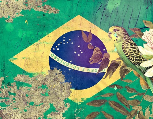 Galeria de ilustrações de Eduardo Recife - Brasil