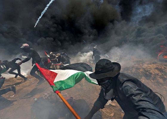 Gallery of Gaza Photography by  Ibraheem Abu Mustafa- Palestine