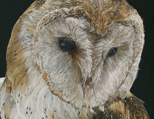 Galería de pintura realista de Annie Drew - Reino Unido
