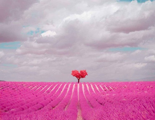 Gallery Of Photography By Paolo Pettigiani - Italy