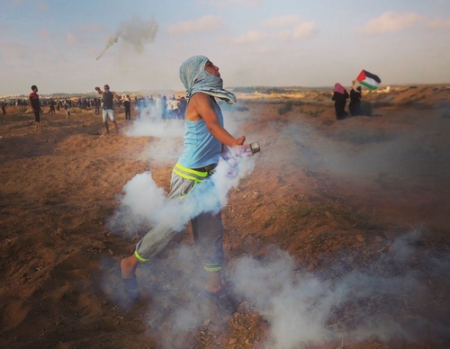 Galería de fotografías de Mohammed Zaanoun - Palestina