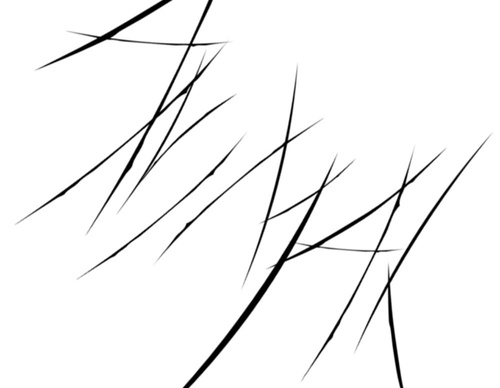 blank poster animal