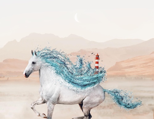 Galería De Ilustración De Luisa Azevedo - Portugal