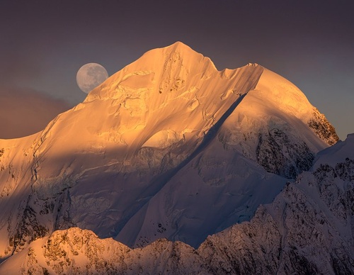 Galeria de fotografias de William Patino - Nova Zelândia