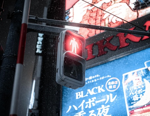 Gallery Of Photography By Junya Watanabe - Japan