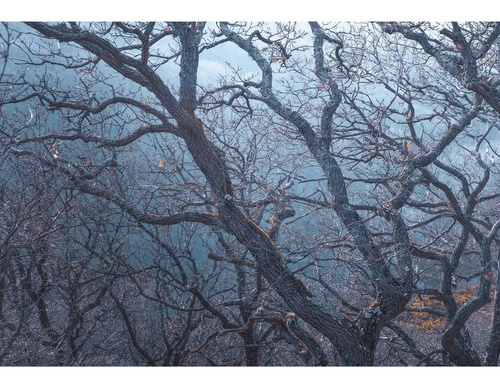 Galería de fotografías de Pujan Shadlau - Austria