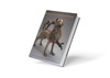 Mirror of the Medieval World