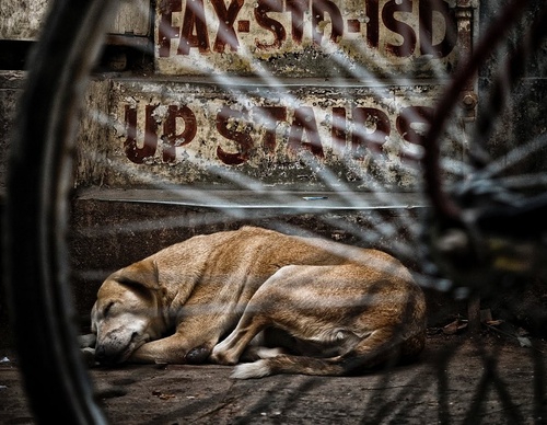 Galería de fotografías de Joshua Alpha Buana - Indonesia