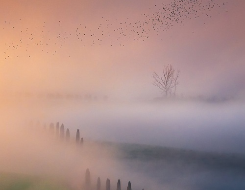 Gallery Of Photography By Marco Grassi - Argentina